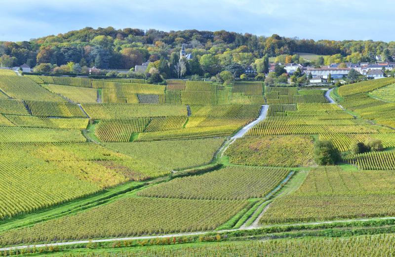 JEP : au cœur des Coteaux, Maisons et Caves