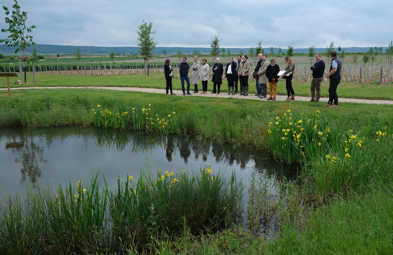 biodiversité