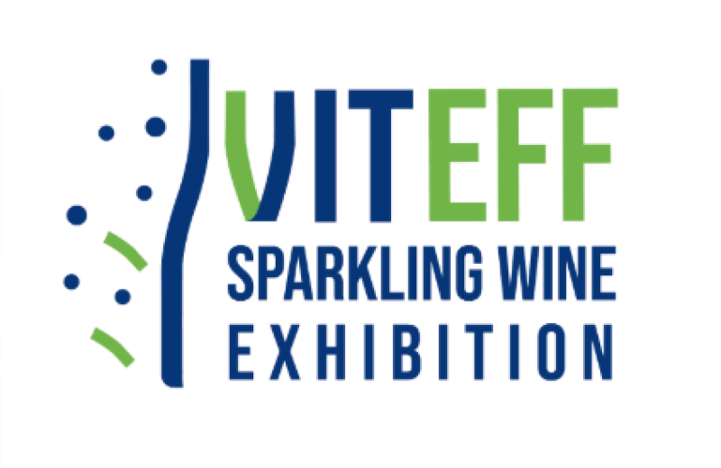 viteff 2025