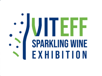 viteff 2025