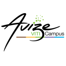 Avize VitiCampus
