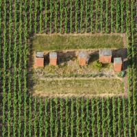 Essors, cheminées d'aération dans le vignoble - Coteaux historiques - Aÿ 