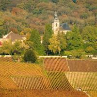 Abbaye d'Hautvillers - Coteaux historiques